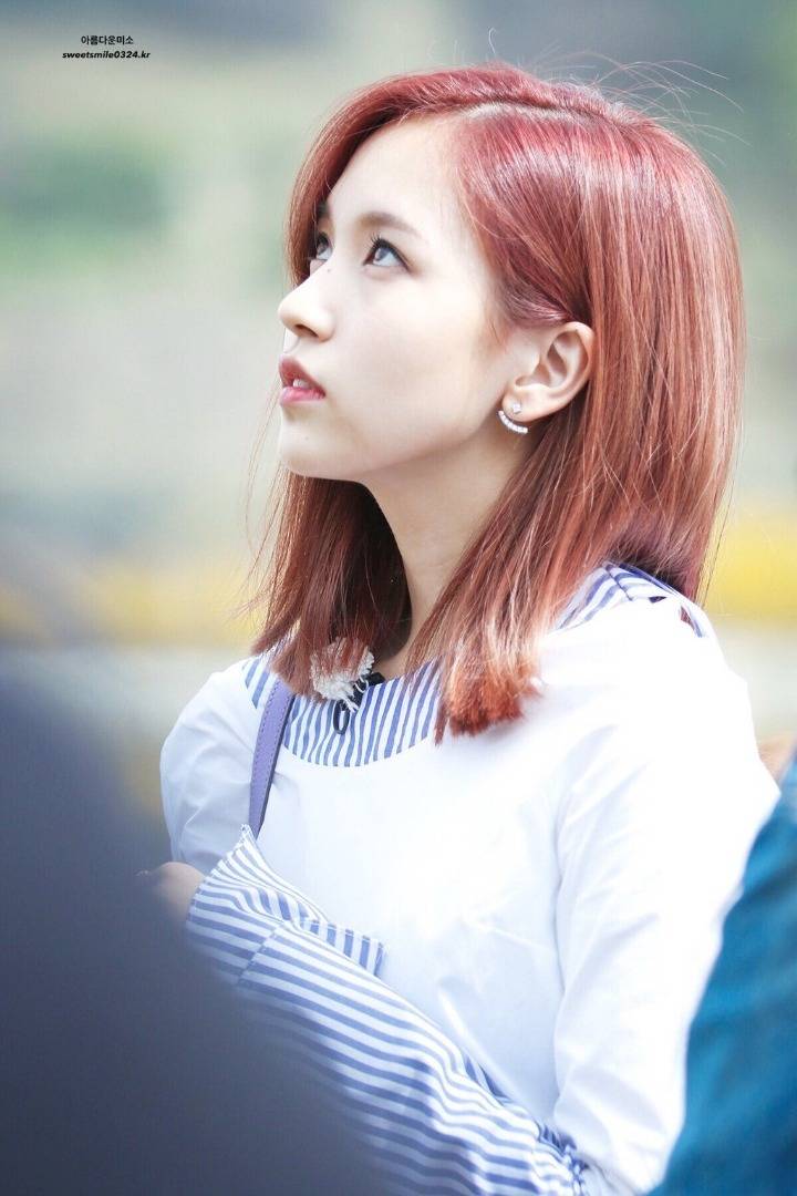 문재인 대통령 당선 기념 미나리 | 인스티즈