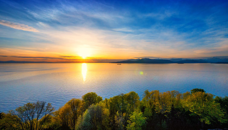 캐나다 대학 캠퍼스 수준 | 인스티즈