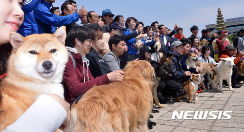반려견 문재인 지지선언.jpg | 인스티즈