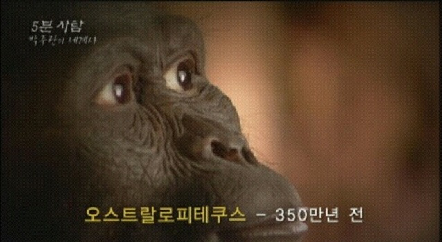 내장지방놈의 역사를 알아보고 죽여버리자 | 인스티즈