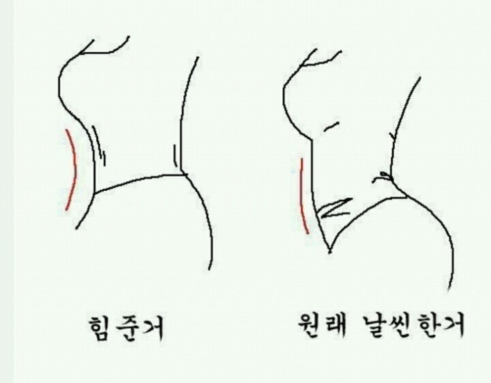 여자 배 구별법 | 인스티즈