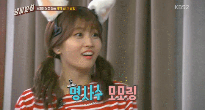 모모+고양이 | 인스티즈