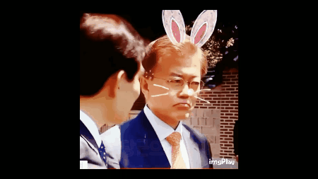 토끼 이니 업그레이드버전ㅋ | 인스티즈