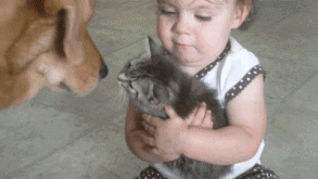 작정하고 귀엽고 사랑스러운 아기와 강아지 모음(심장녹아내림주의) | 인스티즈