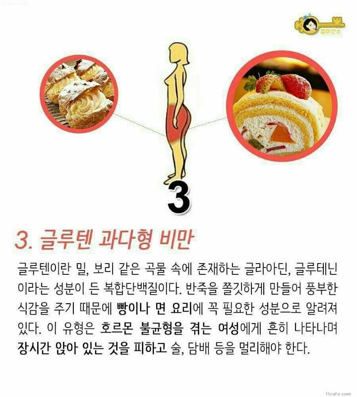 살이 찌는 부위 별 이유 | 인스티즈