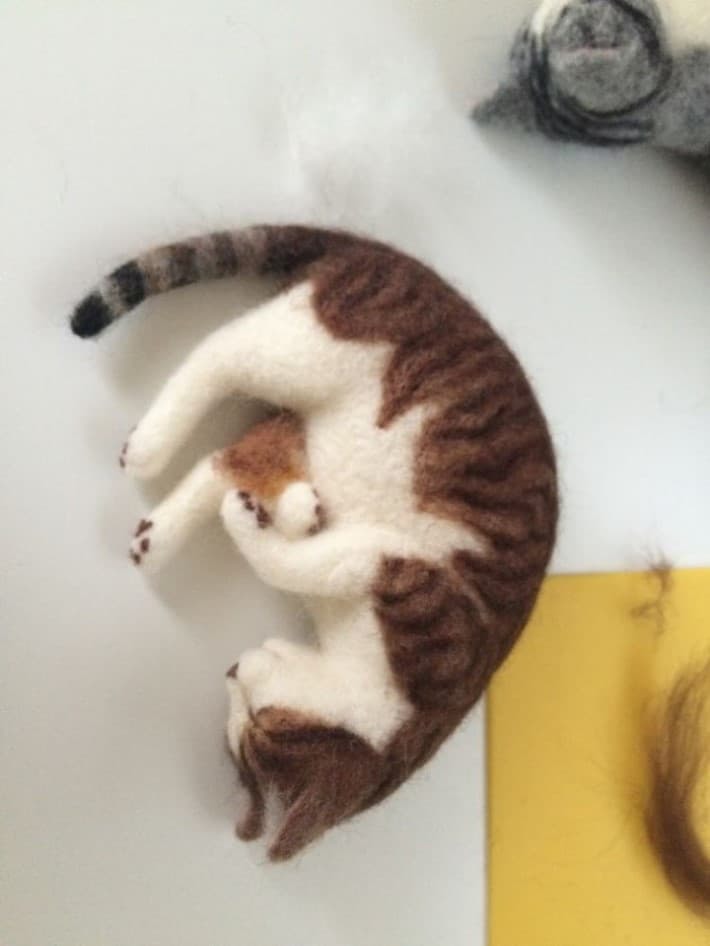 고양이 털로 만든 고양이 | 인스티즈