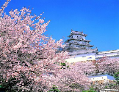 메이플스토리 맵과 비슷한 실제 장소 모음ㅎㅎ1탄 | 인스티즈