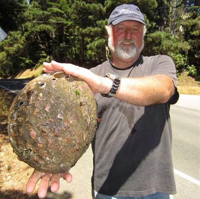 미국산 전복 크기.JPG | 인스티즈