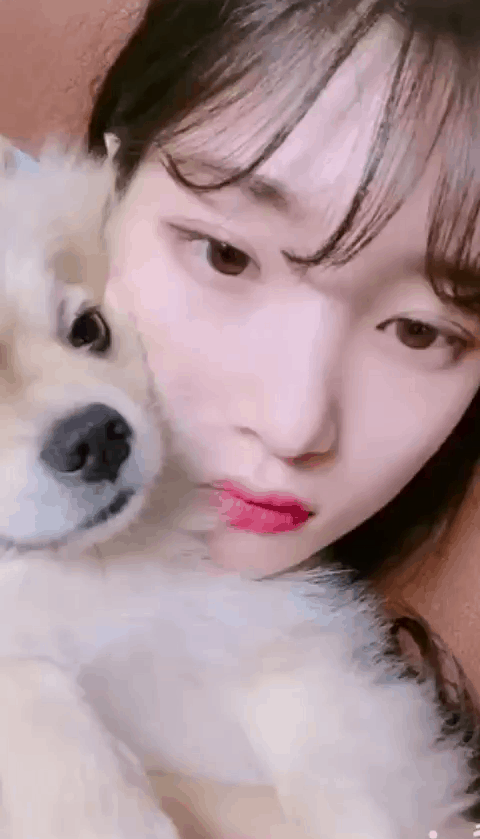 정채연 인스타 | 인스티즈