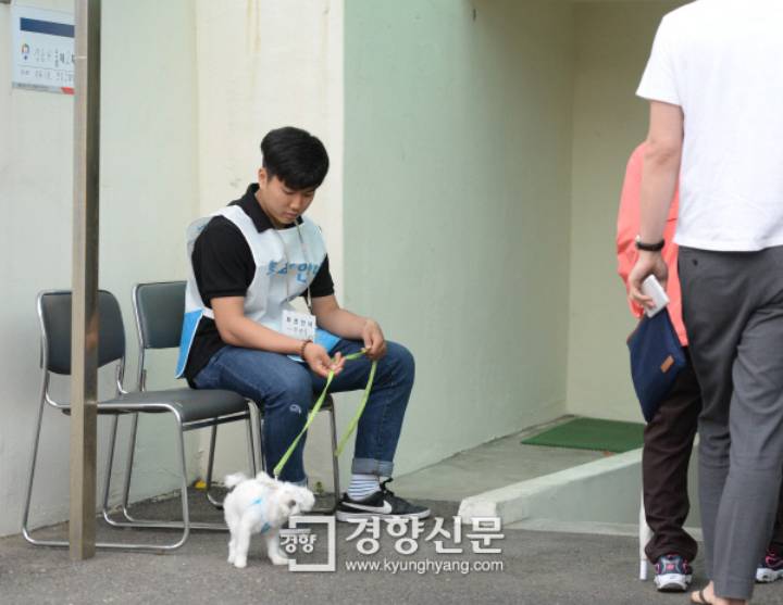 투표소 같이온 동물들 | 인스티즈