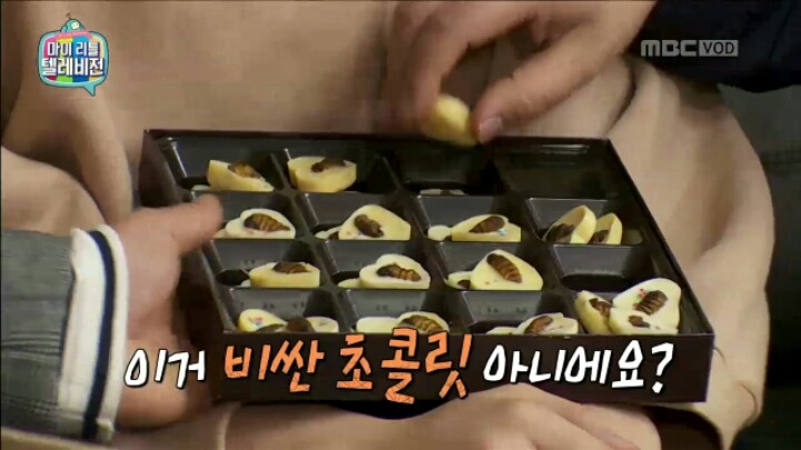 [마리텔] 미래 식량 연구한다는 조영구 장모님 | 인스티즈