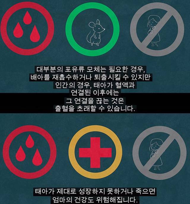 생리는 결코 오지 않는 정자를 기다리다 아기집을 허무는 과정이 아니다 | 인스티즈