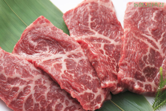 육고기 중 최애 육고기는? | 인스티즈