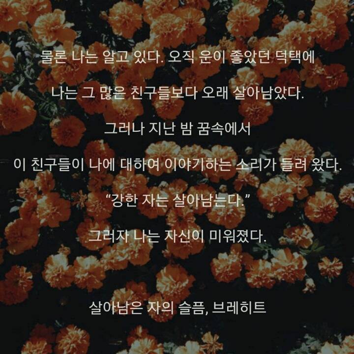 당신은 하늘 우러러 한점 부끄럼 없는 사람이었는가? | 인스티즈