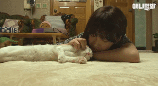 어떤 고양이의 아주 특별한 집사 마중.gif | 인스티즈