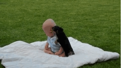 작정하고 귀엽고 사랑스러운 아기와 강아지 모음(심장녹아내림주의) | 인스티즈