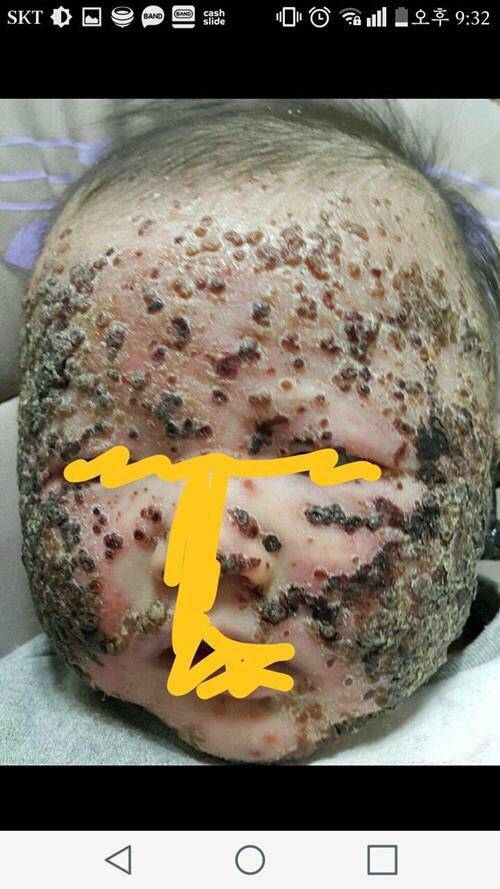 혐주의/ 안아키가 뭔지 아직 모르는 사람들 다 들어와봐.. 이거 생각보다 심각한 사회문제임 | 인스티즈