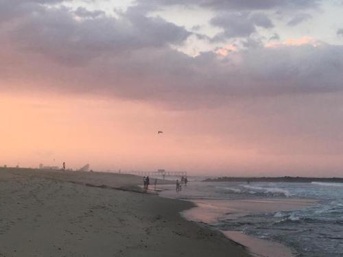  벌새가 사는 법 | 인스티즈