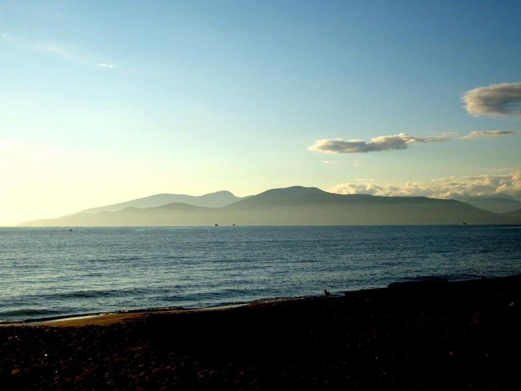 캐나다 대학 캠퍼스 수준 | 인스티즈