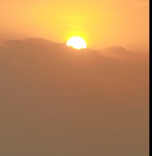 본 당직사관이 아침점호를 실시한다 | 인스티즈