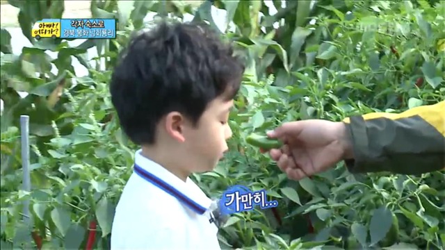 [아빠어디가] 유유상종의 표본이였던 성선비와 홍도인ㅋㅋㅋㅋㅋ.jpg | 인스티즈