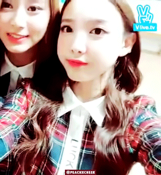 트잘알들은 아는 트와이스 최고케미 | 인스티즈