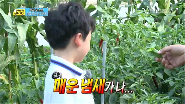 [아빠어디가] 유유상종의 표본이였던 성선비와 홍도인ㅋㅋㅋㅋㅋ.jpg | 인스티즈