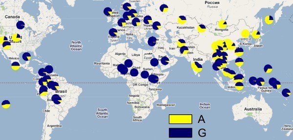 한국인은 전 세계에서 암내가 제일 적게 나는 민족.jpg | 인스티즈