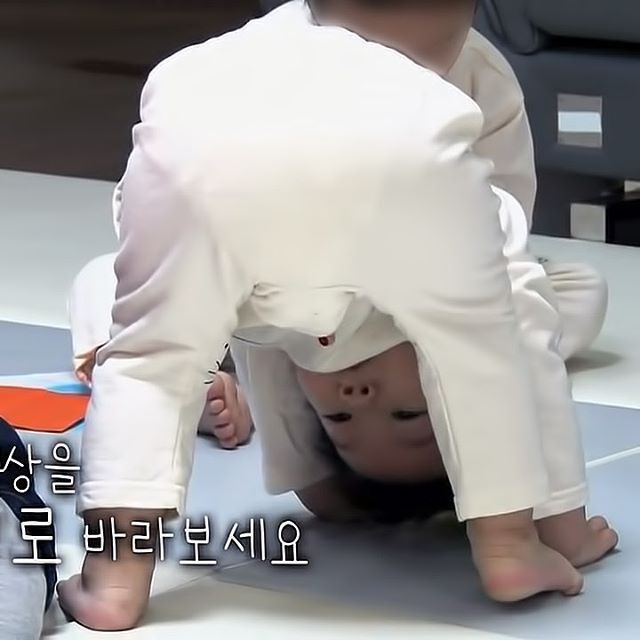 대박이가 슈돌 인기멤인 이유.jpgif | 인스티즈