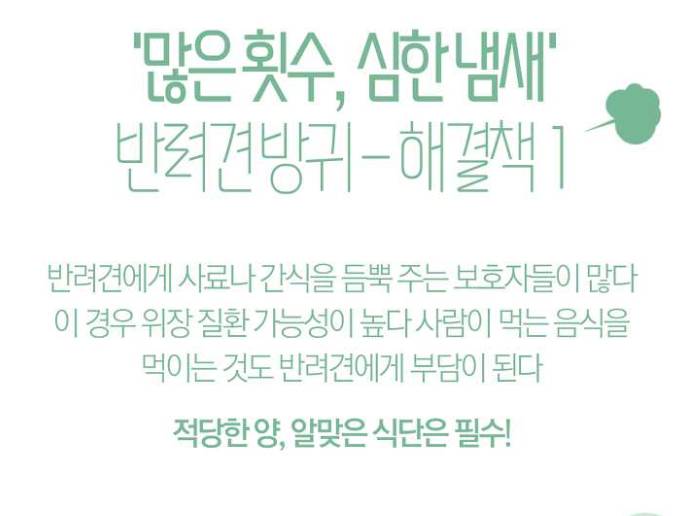 [아무짤대잔치] ¡투표한기념¡ ♧막♧올려봅니다 $데이터₩없으면₩들어오지마셈$ 필요하면 가져가셍 | 인스티즈