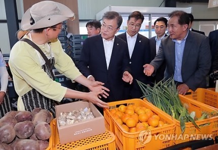 [문재인대통령] 대통령님과 함께 제주감귤 구분해보기.jpg | 인스티즈