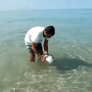 비만에 못생김.gif | 인스티즈