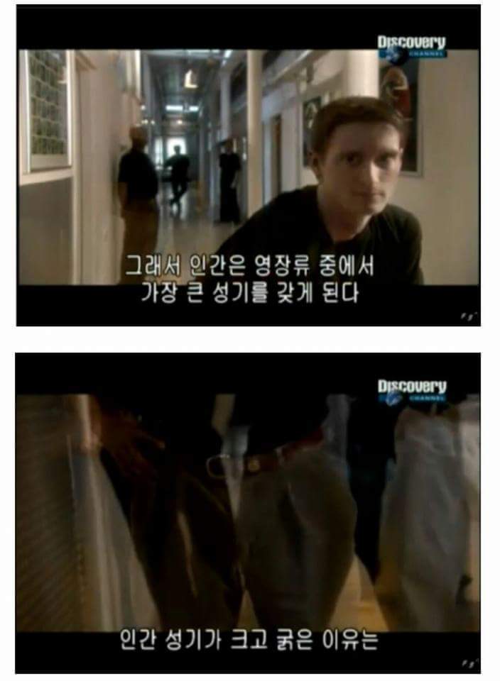 남성의 성기가 크고 굵은 이유 | 인스티즈