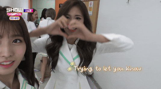 트와이스 쯔위 움짤 | 인스티즈