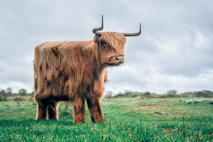 돔물믜 뫔국 | 인스티즈