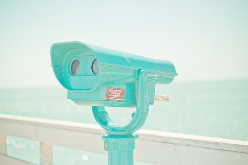  따뜻한 분위기의 일본의 봄 vs 시원하고 청량감있는 일본의 여름 | 인스티즈