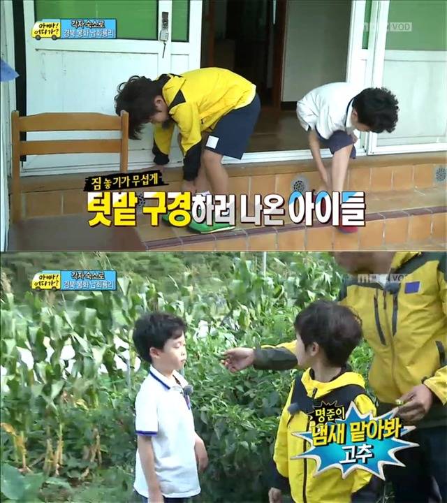 [아빠어디가] 유유상종의 표본이였던 성선비와 홍도인ㅋㅋㅋㅋㅋ.jpg | 인스티즈