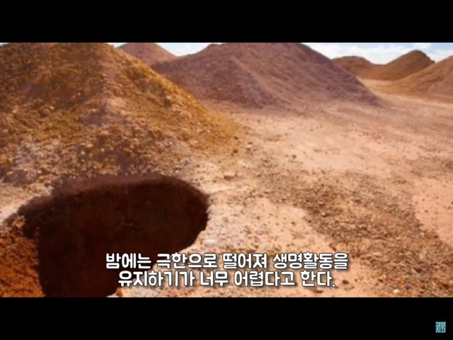호주 사막 지하에는 이것이 있다 | 인스티즈