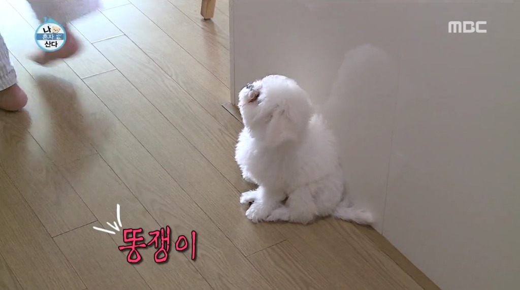 나혼자산다 윤현민편 꼬봉이 캡처(feat.올블랙) | 인스티즈