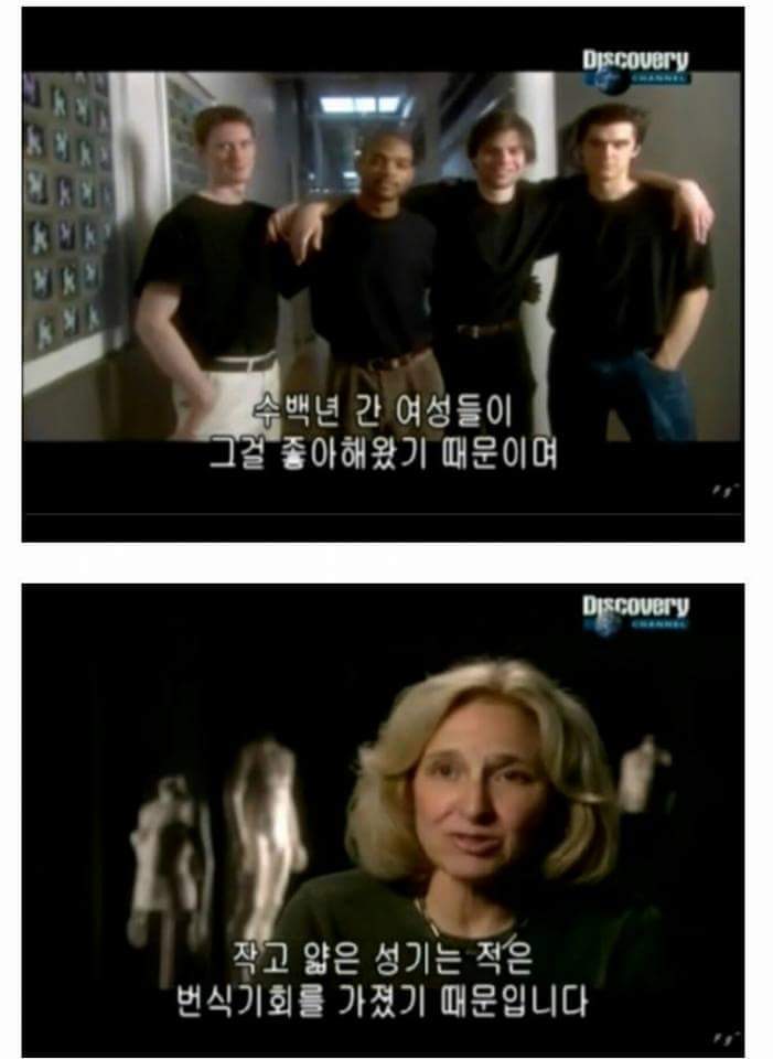 남성의 성기가 크고 굵은 이유 | 인스티즈