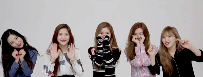 팬덤명이 정해진 것 같은 레드벨벳 | 인스티즈