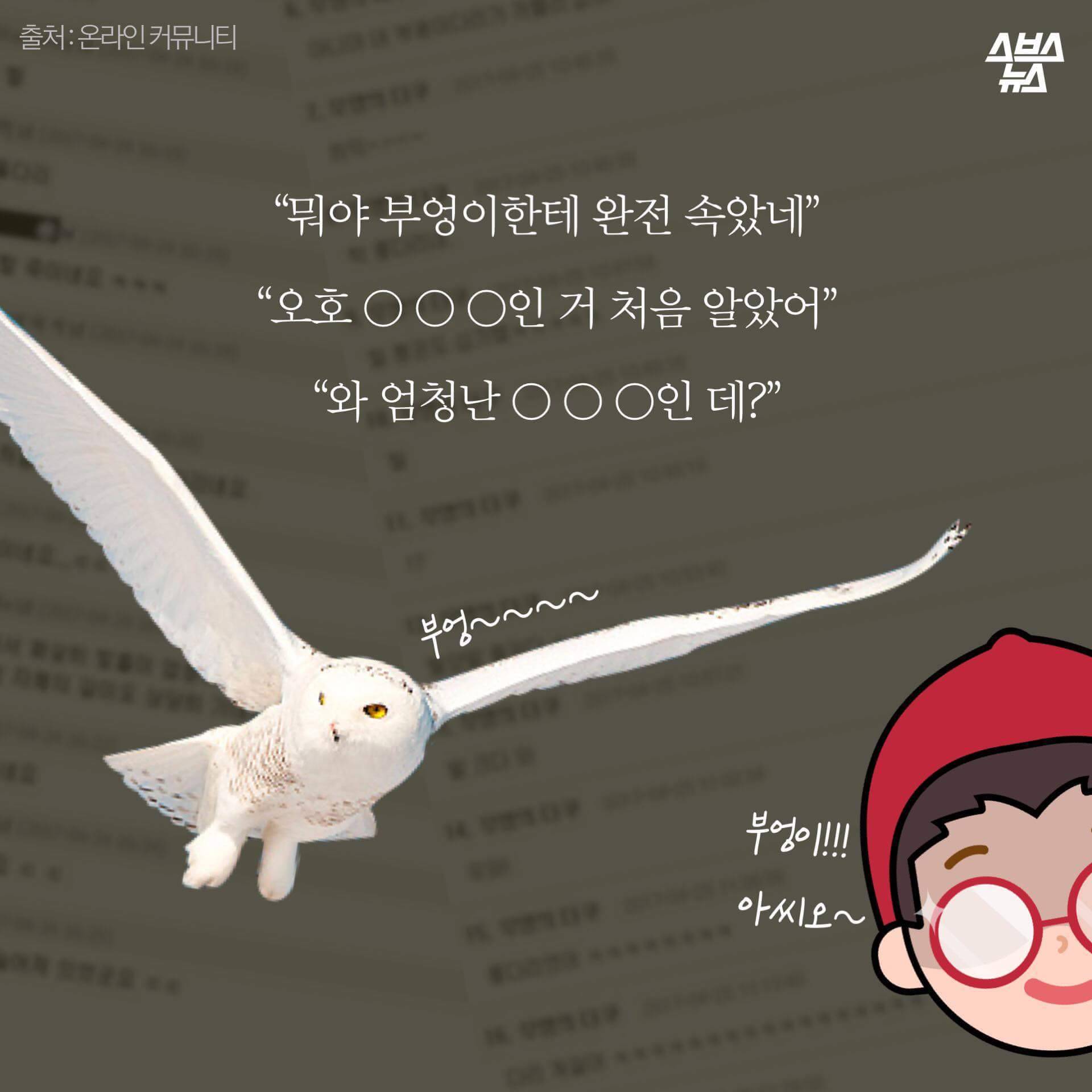 숏하지 않다고 말해부엉 | 인스티즈