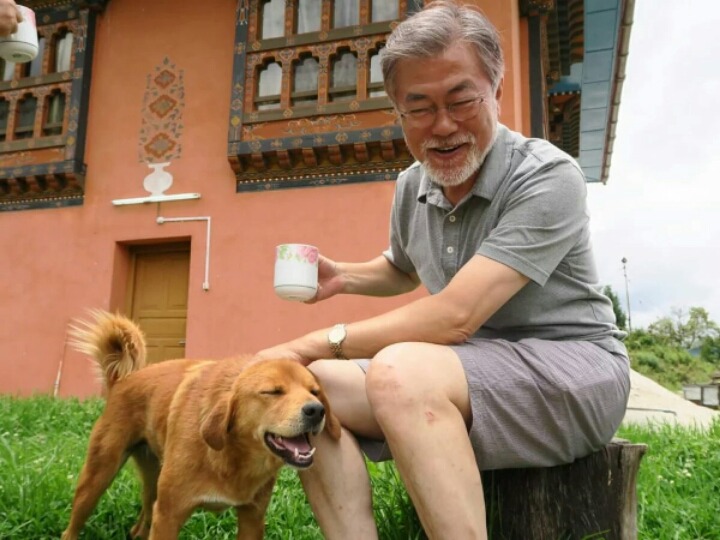 개들에게 있어서 마약 같은 문재인의 손터치.jpg | 인스티즈