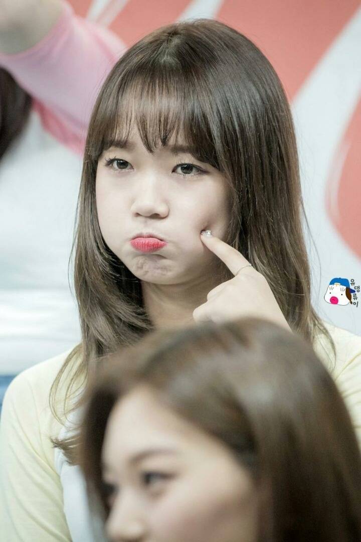 아이오아이 공식 비주얼라인 | 인스티즈