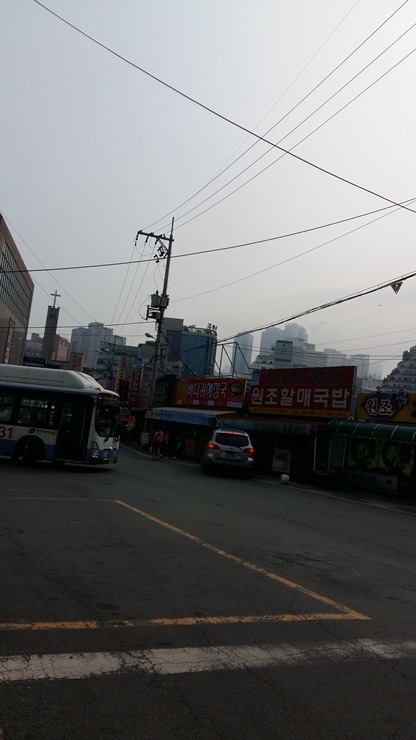 아재의 부산여행기 take4 [해운대달맞이고개송정해수욕장] 난 안경 쓴 샌님이니깐!!!! | 인스티즈