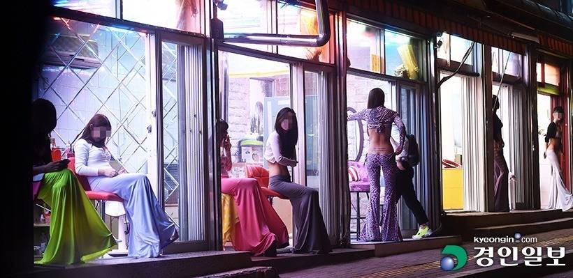 총기자유화 VS 공창제 | 인스티즈