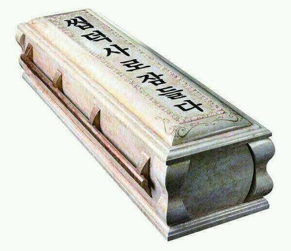 아프리카에서 우연히 찍힌 기린과 토끼 | 인스티즈