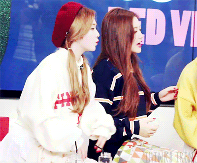 아이린이 업어 키운 예리.jpgif | 인스티즈