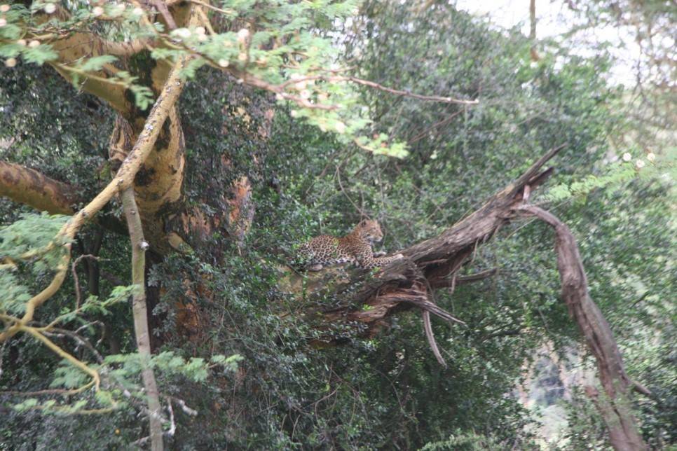 유럽여행보다 더 비싸다는 아프리카 여행 | 인스티즈