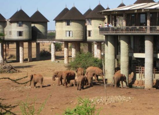 유럽여행보다 더 비싸다는 아프리카 여행 | 인스티즈